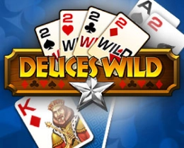 game-delices-wild